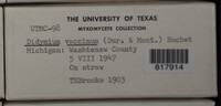 Image Associated With the Occurence